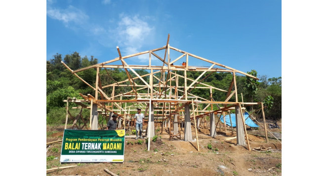 Peternak Binaan BAZNAS Jabar Bangun Komplek Balai Ternak Domba Di Kabupaten Sumedang