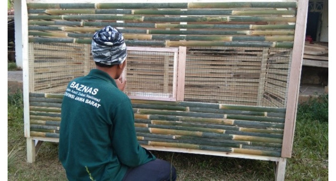 Peternak Binaan Di Subang Manfaatkan Sumber Daya dan Kearifan Lokal untuk Bangun Kandang Ayam